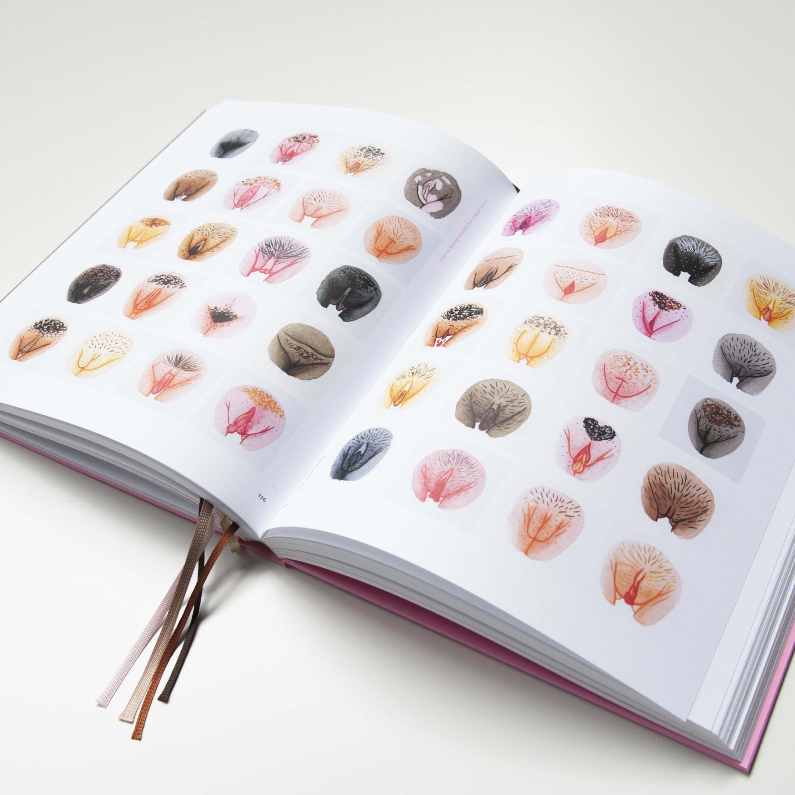 Opengeslagen bladzijden met illustraties van het boek A Celebration of Vulva Diversity